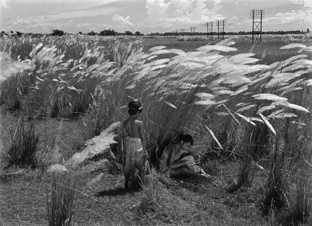 Pather Panchali : Fotoğraf