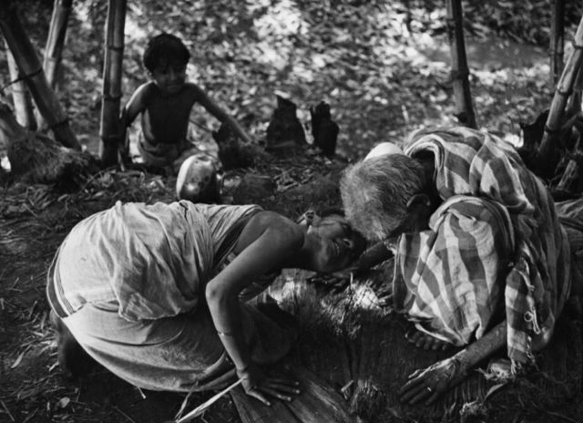 Pather Panchali : Fotoğraf