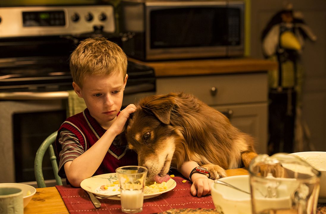 The Young and Prodigious T.S. Spivet : Fotoğraf Kyle Catlett
