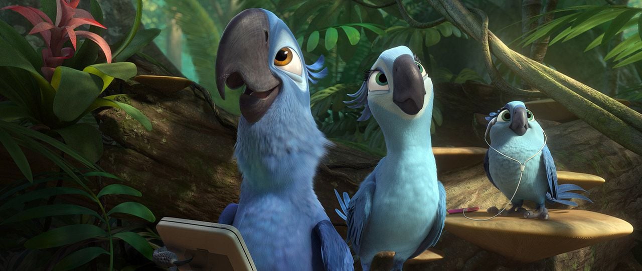 Rio 2 : Fotoğraf