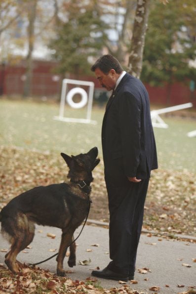 Fotoğraf Tom Selleck