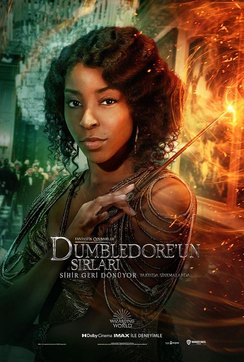 Fantastik Canavarlar: Dumbledore'un Sırları : Afiş