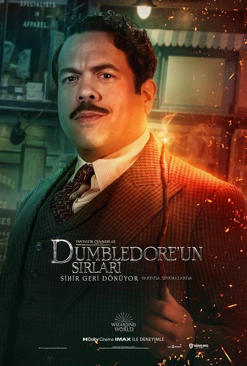 Fantastik Canavarlar: Dumbledore'un Sırları : Afiş
