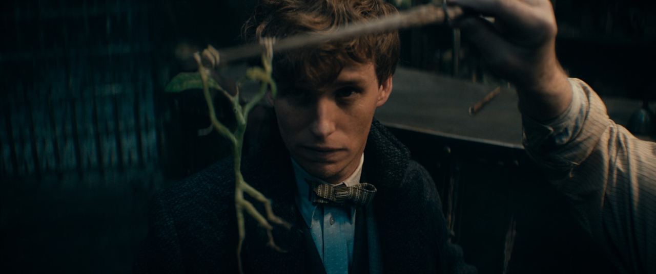 Fantastik Canavarlar: Dumbledore'un Sırları : Fotoğraf Eddie Redmayne