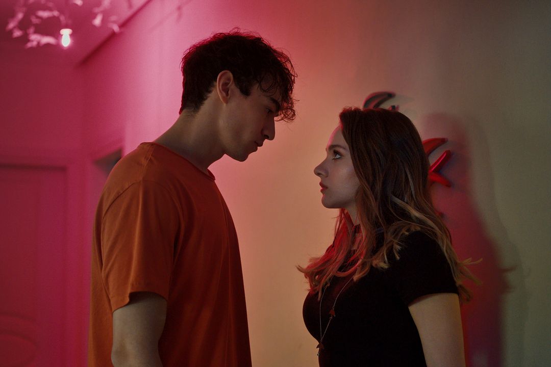 Kuş Uçuşu : Fotoğraf