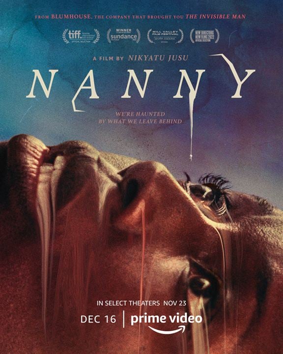 Nanny : Afiş