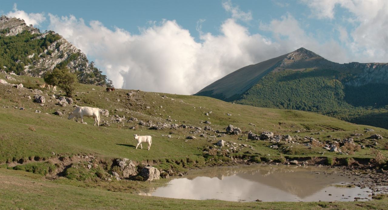 Il buco : Fotoğraf