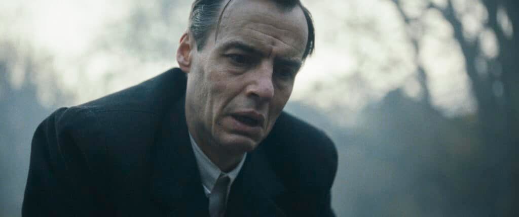 Earwig : Fotoğraf Paul Hilton