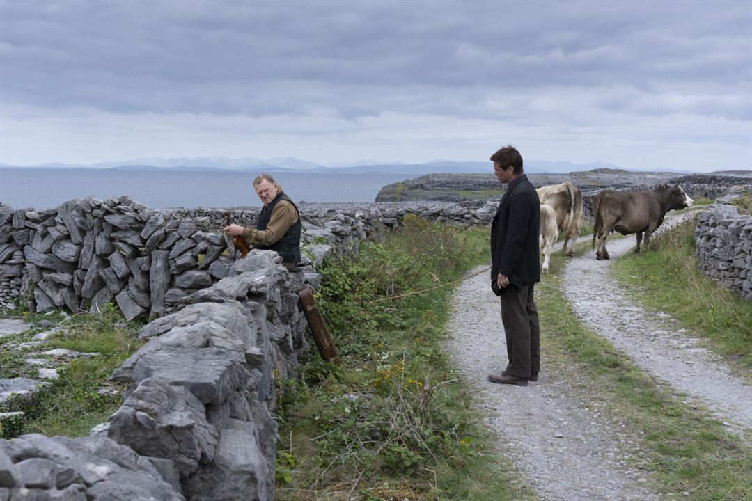 The Banshees Of Inisherin : Fotoğraf Colin Farrell, Brendan Gleeson
