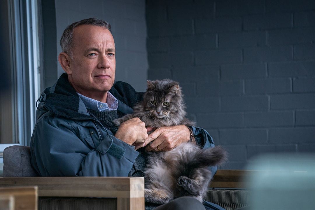 Hayata Röveşata Çeken Adam : Fotoğraf Tom Hanks