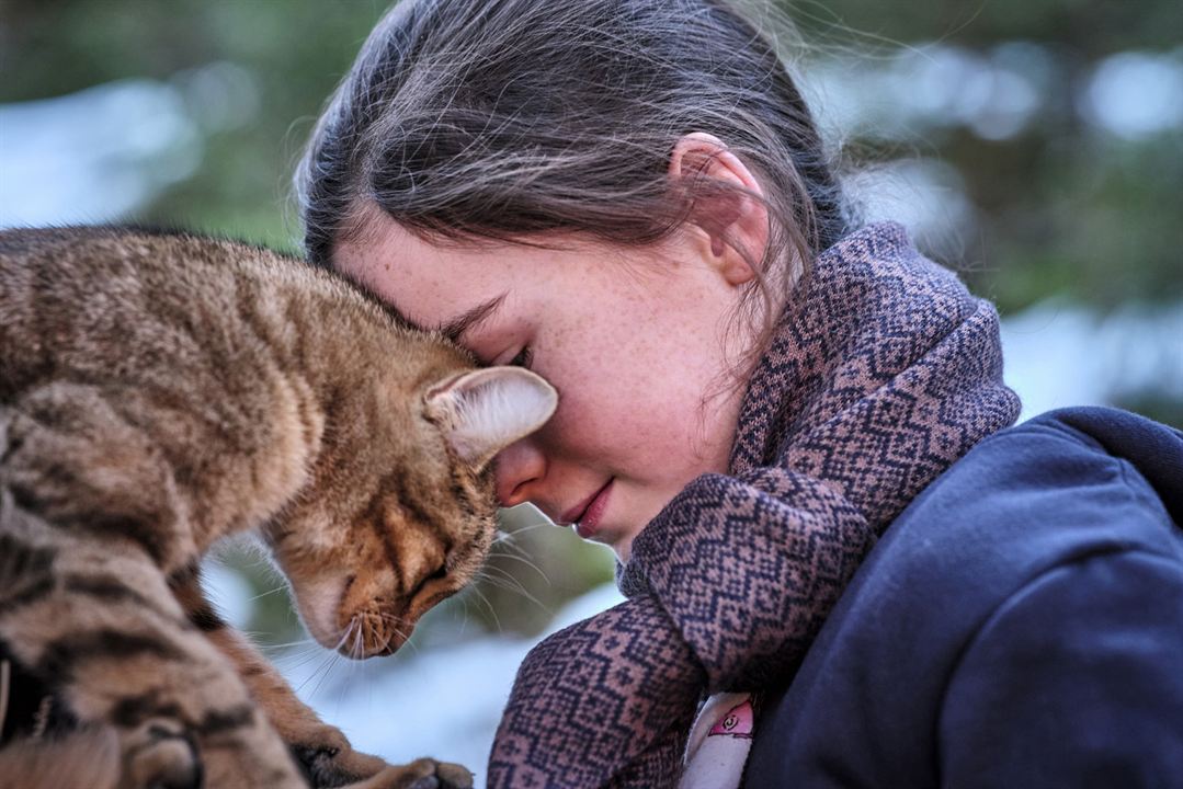 Mon chat et moi, la grande aventure de Rroû : Fotoğraf Capucine Sainson-Fabresse