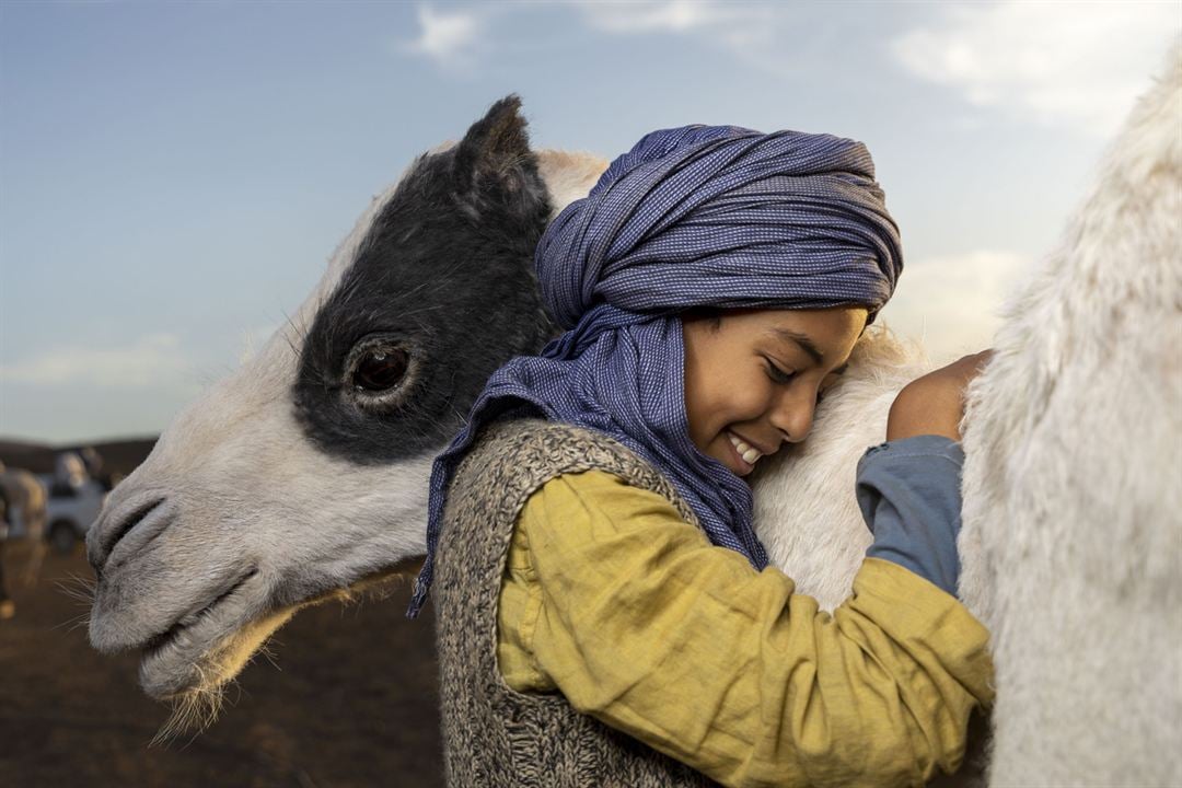 Zodi et Téhu, frères du désert : Fotoğraf