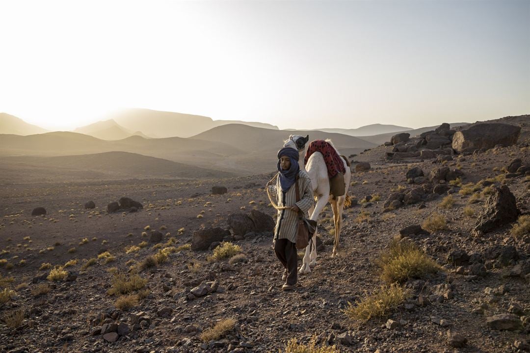 Zodi et Téhu, frères du désert : Fotoğraf