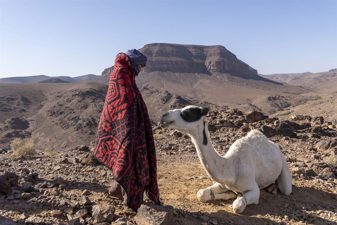 Zodi et Téhu, frères du désert : Fotoğraf