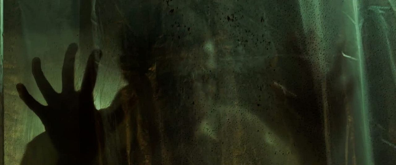 Virus-32 : Fotoğraf