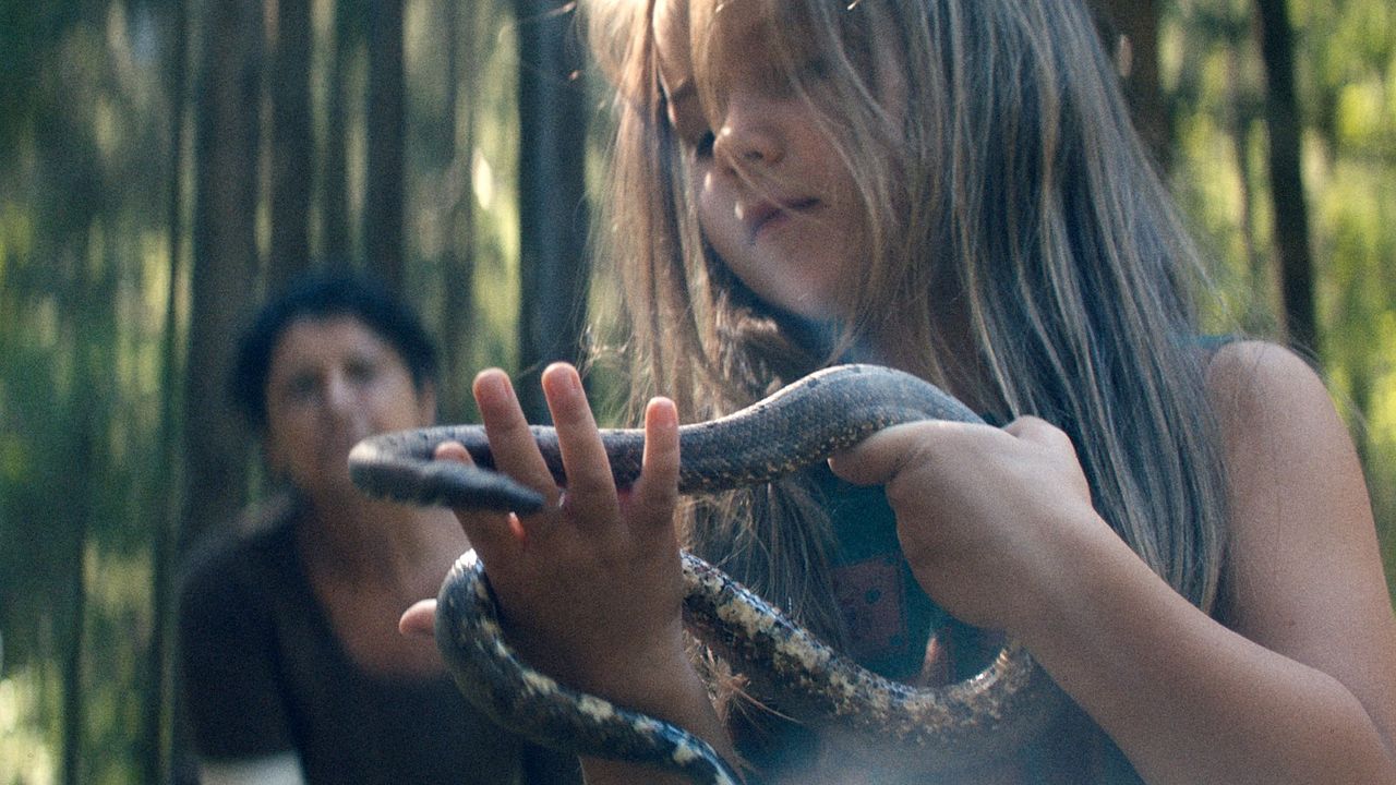 Svetlonoc : Fotoğraf