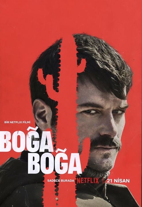 Boğa Boğa : Afiş