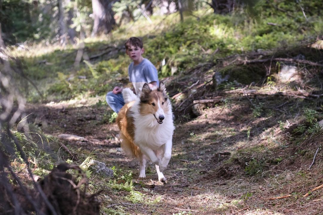 Lassie: Yepyeni Bir Macera : Fotoğraf Nico Marischka