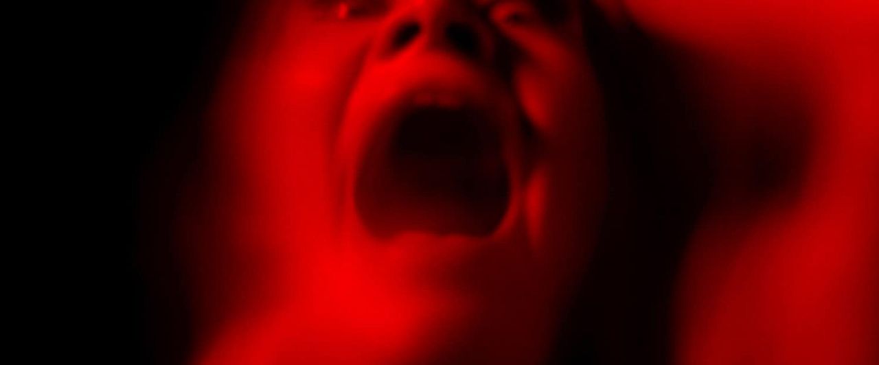 The Seed : Fotoğraf