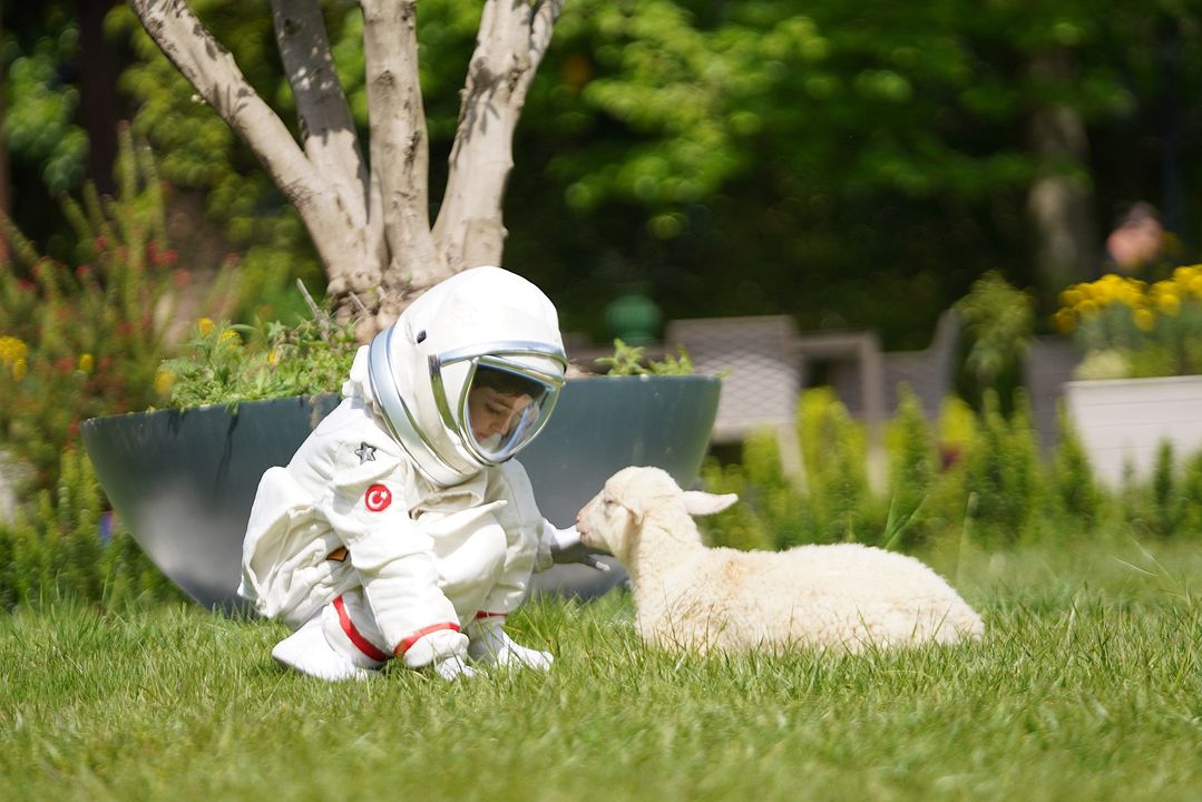 Adım Farah : Fotoğraf