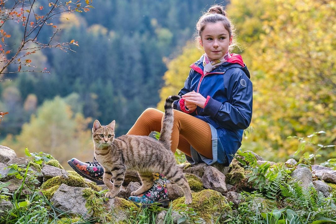 Mon chat et moi, la grande aventure de Rroû : Fotoğraf