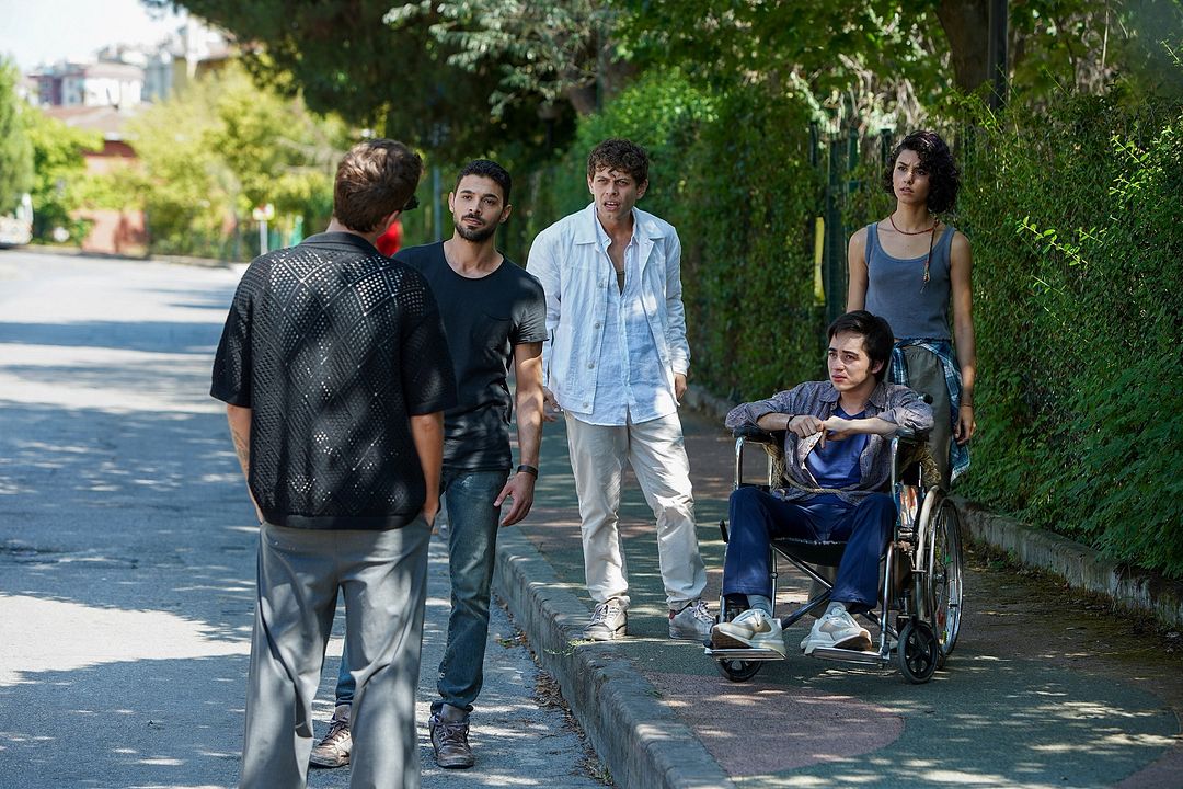 Yabani : Fotoğraf