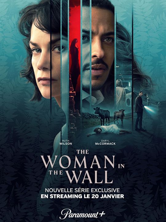 The Woman In The Wall : Afiş