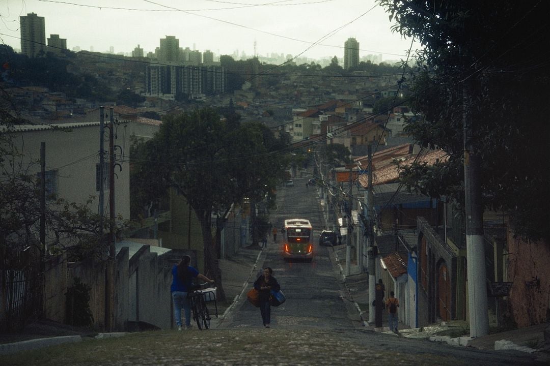 Cidade; Campo : Fotoğraf