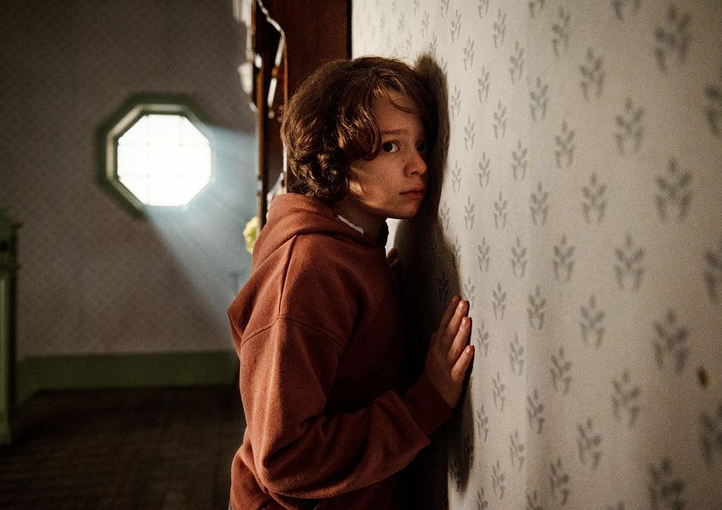 Örümcek Ağı : Fotoğraf Woody Norman