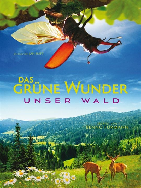 Das grüne Wunder - Unser Wald : Afiş