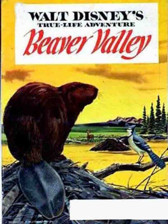 Beaver Valley : Afiş