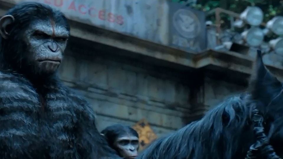 Maymunlar cehennemi full izle. Maymunlar cehennemi full izle. Вуди харрельсон планета обезьян. Maymunlar cehennemi full izle. Maymunlar cehennemi full izle.