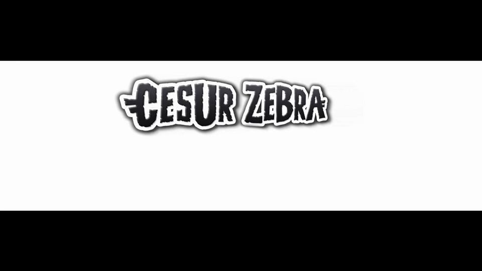 Cesur Zebra Film 2013 Beyazperde Com